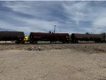 TCBX 261567